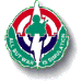 STRICOM Logo